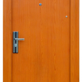Ocelové dveře FX-S001 vchodové ocelové dveře,stavební otvor 205x96cm a stavební otvor 205x86cm